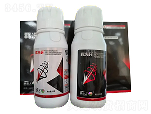 �b����-���������E�R-������ 