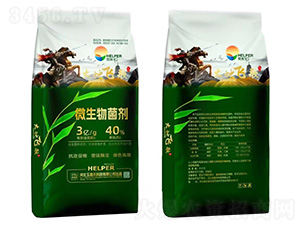 ����w��΢�������-���ɺ�