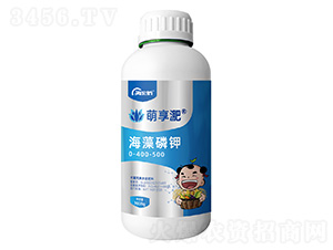 �������0-400-500-������-����S�ʘI(y��)