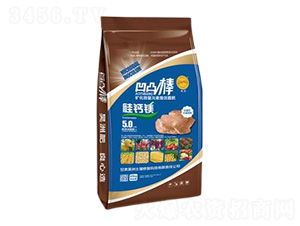 ��͹��-��������ޏ�(f��)