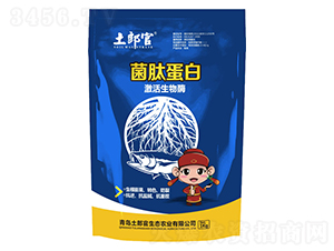 ���ĵ���-���ɹ�