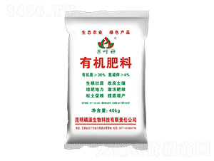 �ЙC(j��)����-���~��-���f�ʘI(y��)