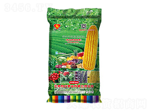 �ЙC(j��)�o(w��)�C(j��)��(f��)�����11-5-0-����-���f�ʘI(y��)