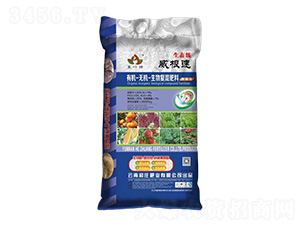 �ЙC(j��)-�o(w��)�C(j��)�����(f��)�����11-5-4-������-���f�ʘI(y��)