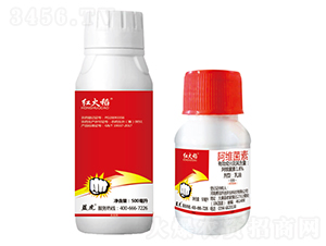 1.8%���S��������-�t��-�{��-�¹چ̵�