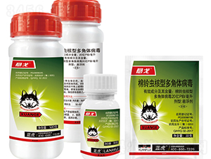 20�|PIB����x���Ͷ���w�����Ҹ���-�Ҹ�-�{��-�¹چ̵�