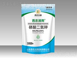 ��������-���r����-���r����