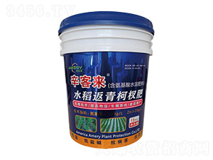 ˮ�������辷�-���́�-������