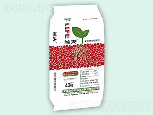 ��(f��)��΢�������-�m��-����