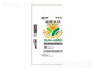 ���၆�F-܎�Ը�-�v������