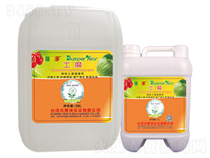 ��ħ-�ѹ���