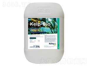 南非開普海藻液25L-保美素-多樂棵