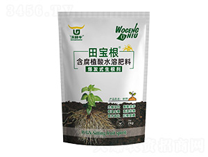 ���l(f��)ʽ������-���-�ָ�ţ