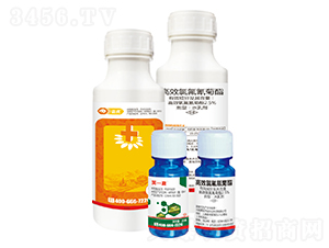 2.5%��Ч�ȷ������ˮ�鄩-Цһ��-�{(l��n)��-�¹چ̵�