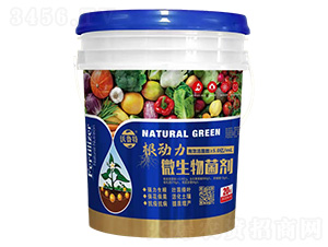 ������΢�������-������