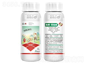 �x�����x��-�����߿������x-������