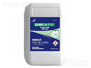 海藻糖化鈣-藍望海精靈蓋不列-藻之藍