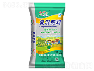 ��(f��)�����19-8-8-����(r��n)�S