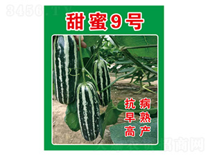 ��ϷN��-����9̖(h��o)-���S�r(n��ng)�I(y��)