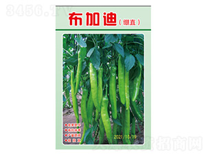 �����N��-���ӵϣ���ֱ��-���S�r(n��ng)�I(y��)