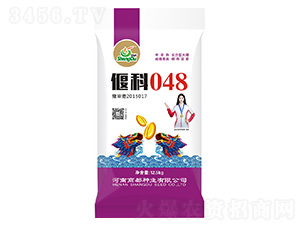 �ȿ�048-С���N-�̶��N�I(y��)