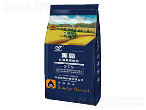 �ڰԵVԴ�S�����-�A������