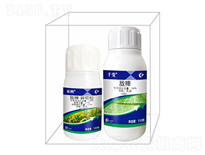 ���޽M���a(b��)���-����¡����