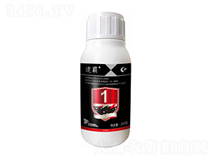 50��ÿ�����������-����-����¡����