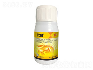 12%���������ͪ-�S��-����¡����