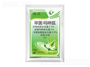 5%������������-���`-����¡����