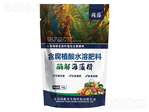 酶解海藻精-純藻-海能量