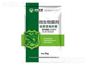 ΢�������-�ݲ�ѿ�ߗU��-�v������