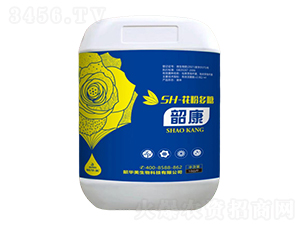 SH-���۶���-�ؿ�-���A��