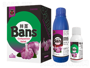 �����N������H-��ʥ-��ţ���H