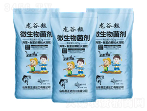 ΢�������-������-����