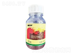 900��/���Ҳݰ�EC-砶���-һ�[�Ƽ�