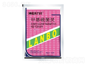 70%�׻�����`WP-���{(l��n)������-һ�[�Ƽ�