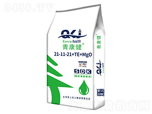 �࿵������Ԫ��ˮ�ܷ���21-11-21+TE+MgO-�_(t��i)������