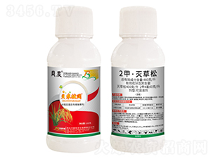 2�ס������-ؐ�r(n��ng)���-ؐ˹���r(n��ng)��