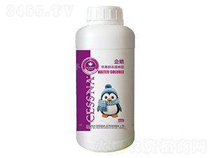 ��������֬��Ĥ-���Z-�ЅR�r(n��ng)�I(y��)