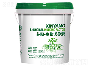 о�-�����T��(d��o)��-�ЅR�r(n��ng)�I(y��)