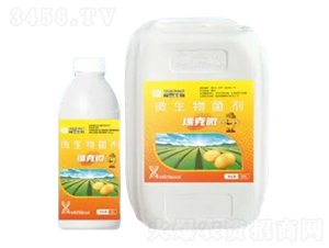 ΢�������-���΢-Ľ������