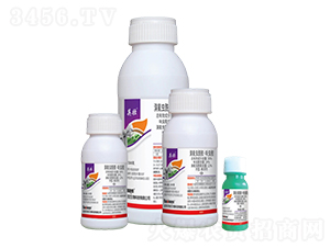 36%�����x(ch��ng)������߻�x(ch��ng)���Ҹ���-Ӣ��-��������