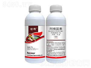 5%���S��������-���h-��������