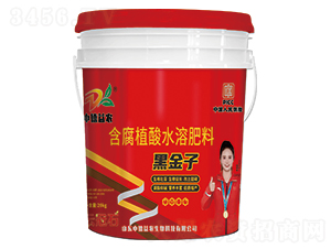 �ڽ��Ӻ���ֲ��ˮ�ܷ���-�ƹ�ʯ-�е����r(n��ng)