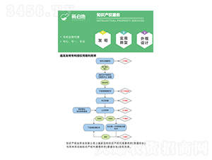 知識(shí)產(chǎn)權(quán)服務(wù)-新泊地