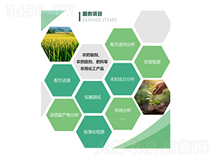 服務(wù)項(xiàng)目-新泊地