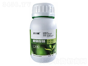 �V�V��ֲ������-���S¡-��(qi��ng)����