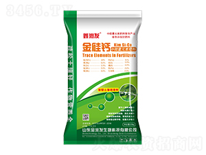 ��΢��Ԫ�ط���-����}-�Ν��l(f��)-�Ą�(chu��ng)��ţ