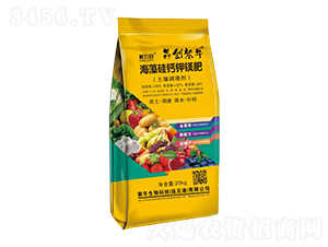 ������}��V��(�����{(di��o)�턩)-������-�Ą�(chu��ng)��ţ